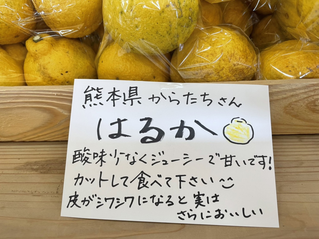 20220225柑橘はるかS__28704781